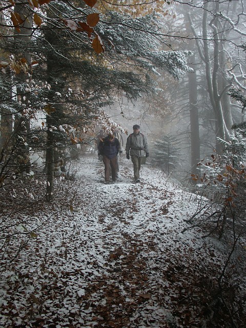 Raichberg 2007 Bild 09